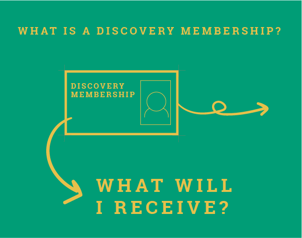 Web_2 column What is discovery