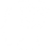 MTJD_Critical Thinking